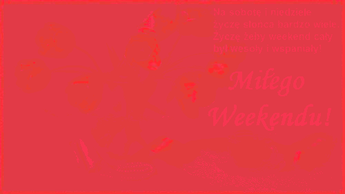 Miłego weekendu tulipany kawa